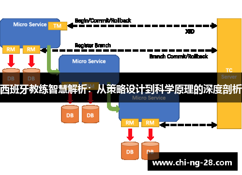 西班牙教练智慧解析：从策略设计到科学原理的深度剖析