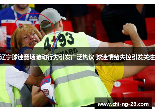 辽宁球迷赛场激动行为引发广泛热议 球迷情绪失控引发关注