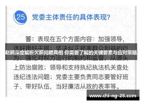 赵鹏深度解析欠薪问题真相 你需要了解的关键要素与应对策略