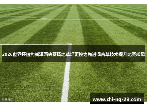 2026世界杯纽约新泽西决赛场地草坪更换为先进混合草技术提升比赛质量 2026世界杯纽约新泽西决赛场地草坪更换为先进混合草技术提升比赛质量