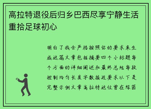 高拉特退役后归乡巴西尽享宁静生活重拾足球初心 高拉特退役后归乡巴西尽享宁静生活重拾足球初心